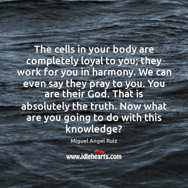 The cells in your body are completely loyal to you; they work Image