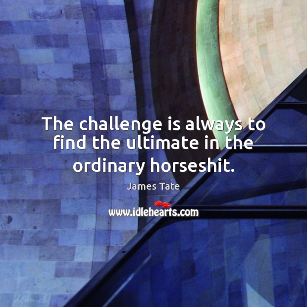 The challenge is always to find the ultimate in the ordinary horseshit. Challenge Quotes Image