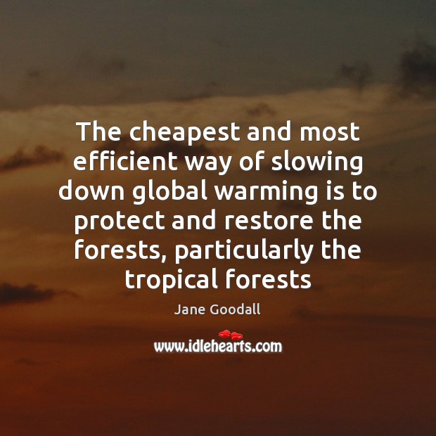 The cheapest and most efficient way of slowing down global warming is Jane Goodall Picture Quote
