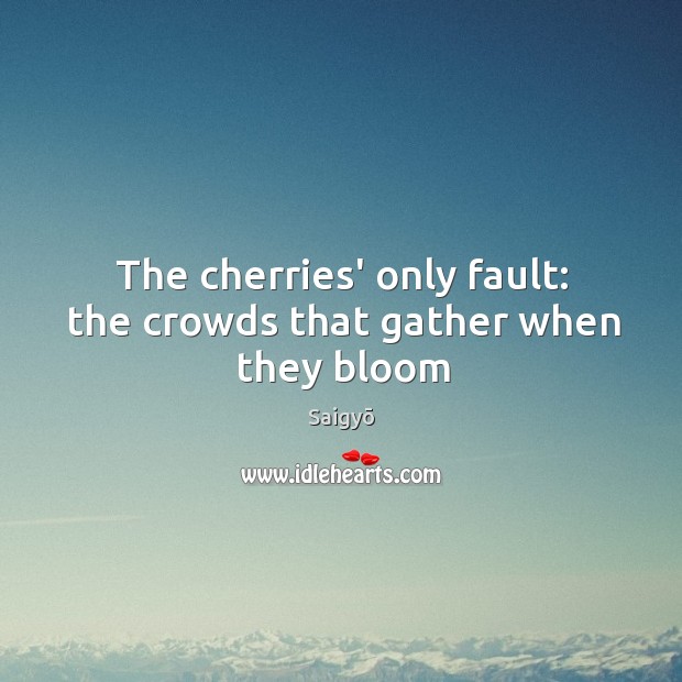 The cherries’ only fault: the crowds that gather when they bloom Image