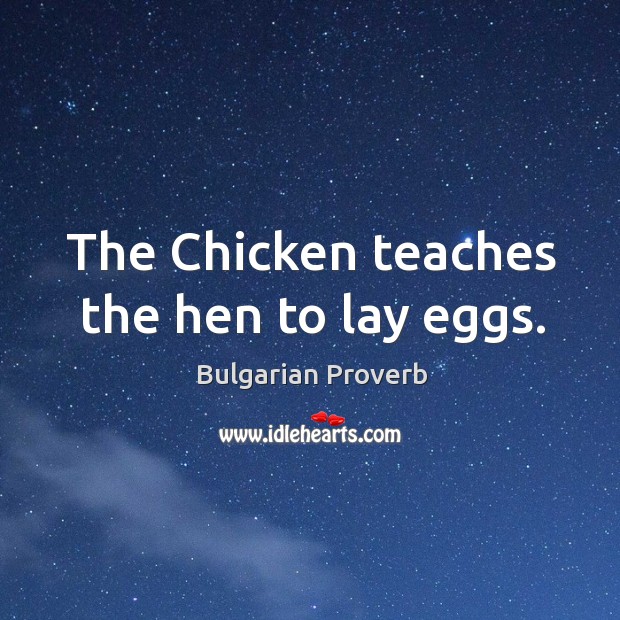 The chicken teaches the hen to lay eggs. Bulgarian Proverbs Image