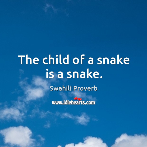 The child of a snake is a snake. Swahili Proverbs Image