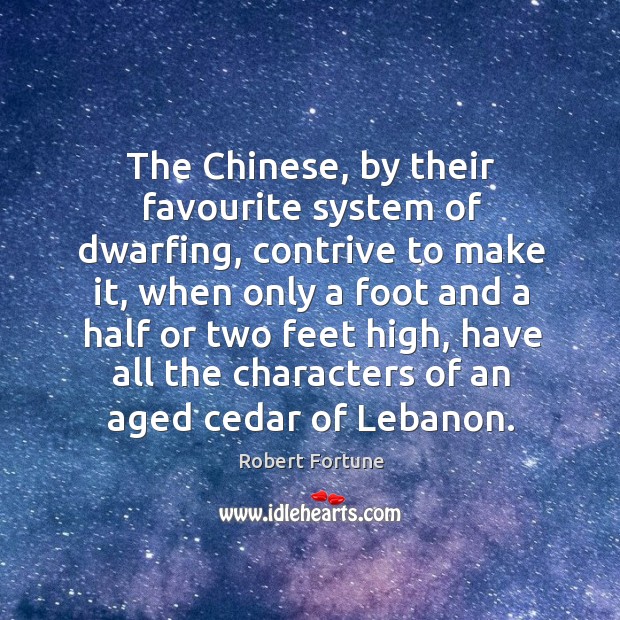 The chinese, by their favourite system of dwarfing, contrive to make it Robert Fortune Picture Quote