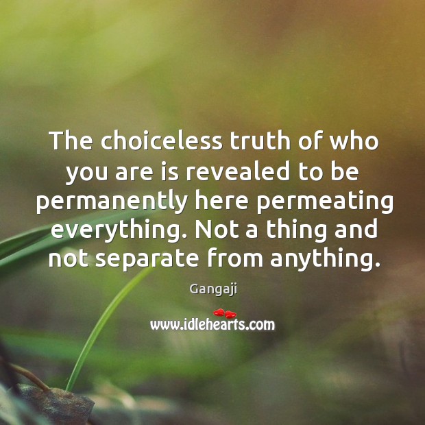 The choiceless truth of who you are is revealed to be permanently Image