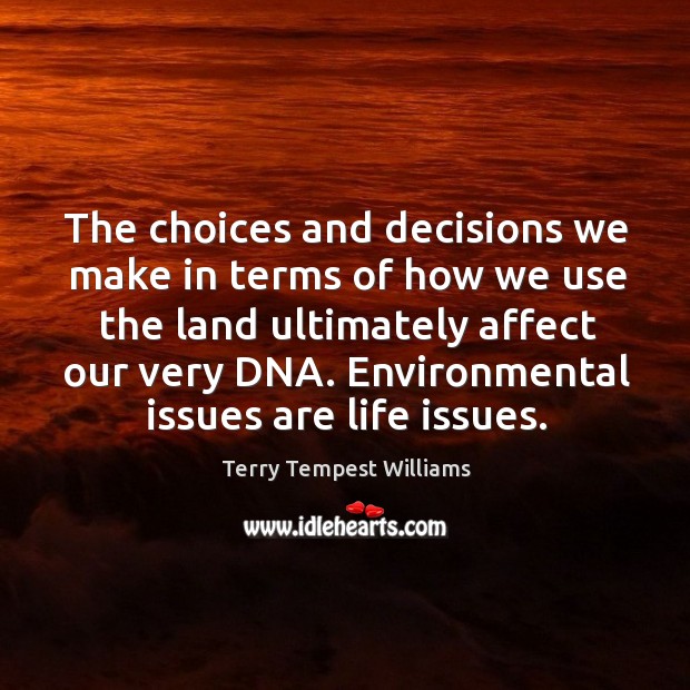 The choices and decisions we make in terms of how we use Terry Tempest Williams Picture Quote