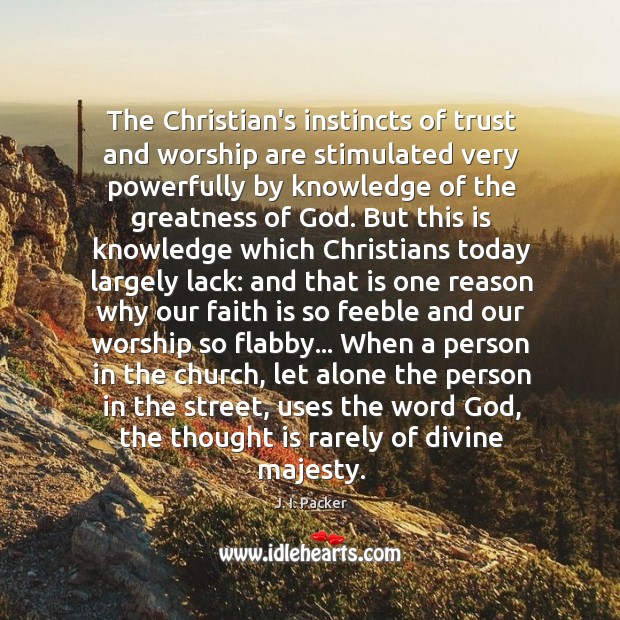 The Christian’s instincts of trust and worship are stimulated very powerfully by Image