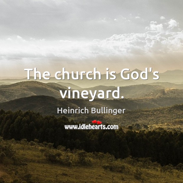 The church is God’s vineyard. Heinrich Bullinger Picture Quote