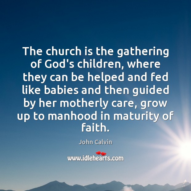 The church is the gathering of God’s children, where they can be John Calvin Picture Quote