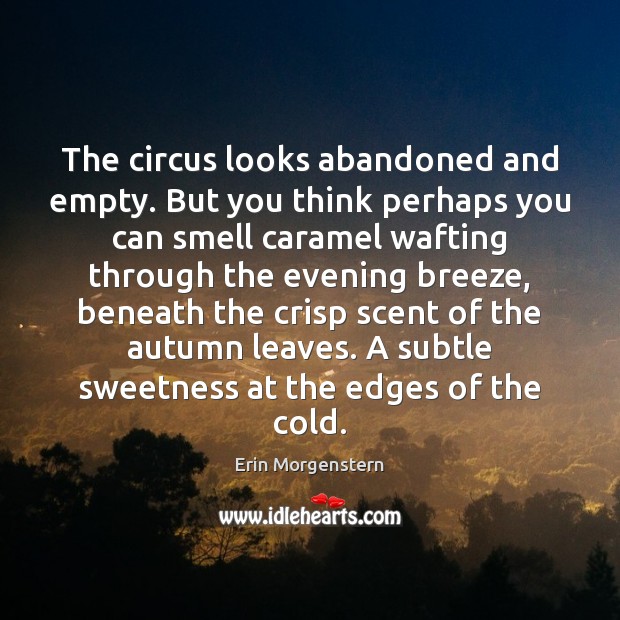 The circus looks abandoned and empty. But you think perhaps you can Erin Morgenstern Picture Quote