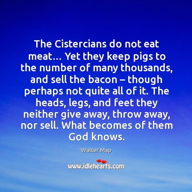 The cistercians do not eat meat… yet they keep pigs to the number of many thousands Walter Map Picture Quote