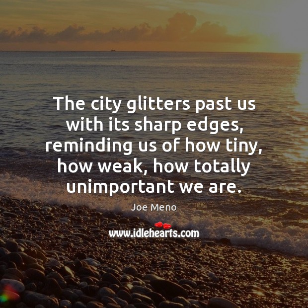 The city glitters past us with its sharp edges, reminding us of Joe Meno Picture Quote