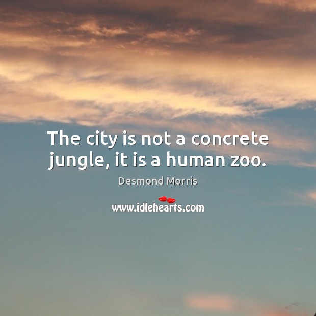 The city is not a concrete jungle, it is a human zoo. Desmond Morris Picture Quote