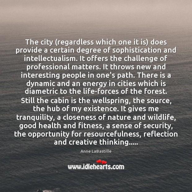 The city (regardless which one it is) does provide a certain degree Anne LaBastille Picture Quote