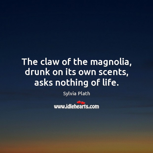 The claw of the magnolia, drunk on its own scents, asks nothing of life. Sylvia Plath Picture Quote