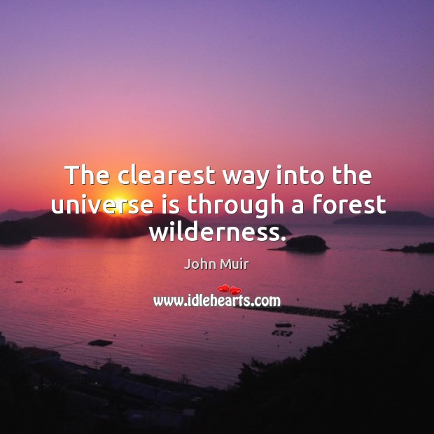 The clearest way into the universe is through a forest wilderness. Image