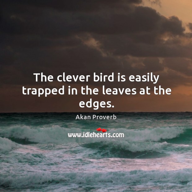 The clever bird is easily trapped in the leaves at the edges. Akan Proverbs Image