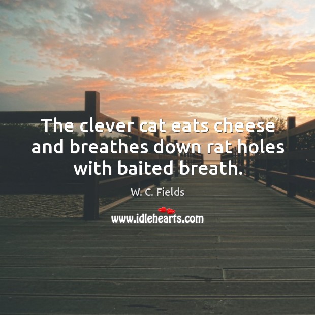 The clever cat eats cheese and breathes down rat holes with baited breath. Clever Quotes Image