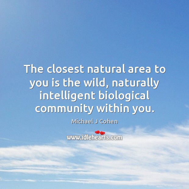 The closest natural area to you is the wild, naturally intelligent biological Image