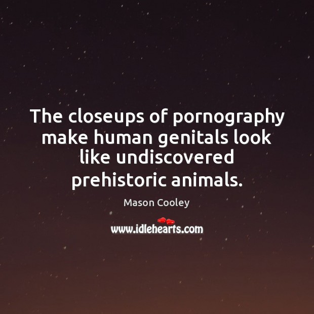 The closeups of pornography make human genitals look like undiscovered prehistoric animals. Mason Cooley Picture Quote