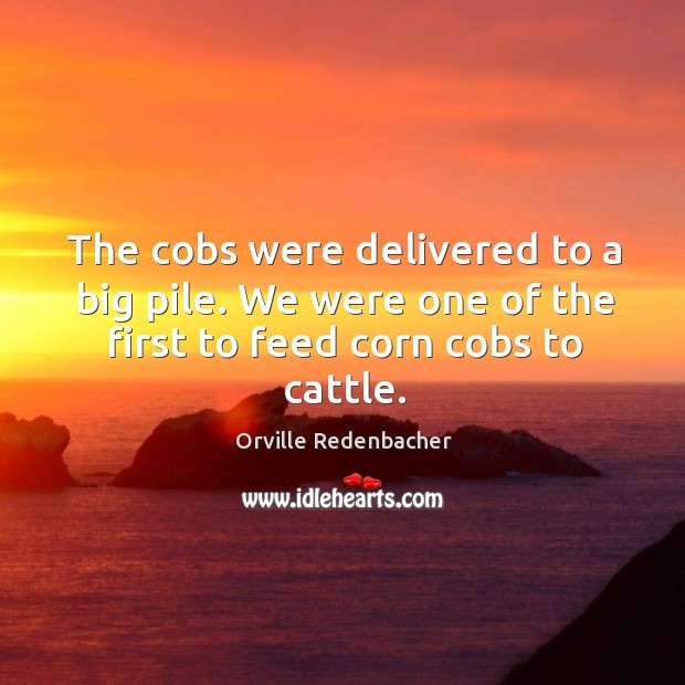 The cobs were delivered to a big pile. We were one of the first to feed corn cobs to cattle. Orville Redenbacher Picture Quote