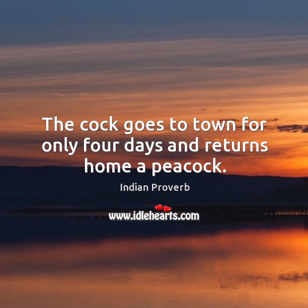 The cock goes to town for only four days and returns home a peacock. Indian Proverbs Image