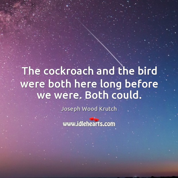 The cockroach and the bird were both here long before we were. Both could. Joseph Wood Krutch Picture Quote