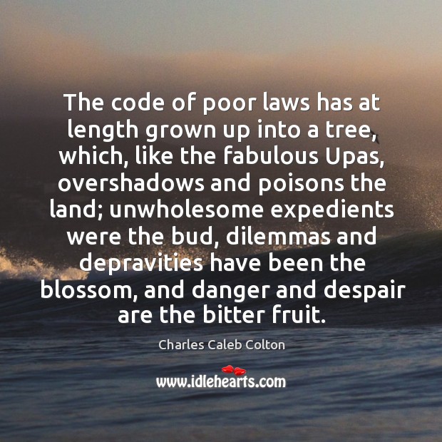 The code of poor laws has at length grown up into a Charles Caleb Colton Picture Quote