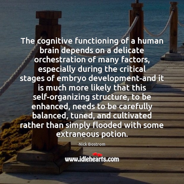 The cognitive functioning of a human brain depends on a delicate orchestration Nick Bostrom Picture Quote