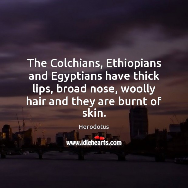 The Colchians, Ethiopians and Egyptians have thick lips, broad nose, woolly hair Image