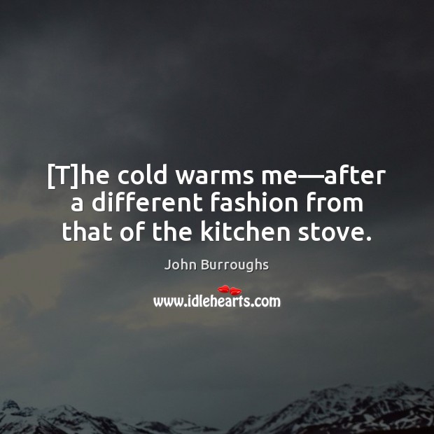 [T]he cold warms me—after a different fashion from that of the kitchen stove. John Burroughs Picture Quote