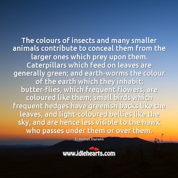 The colours of insects and many smaller animals contribute to conceal them Erasmus Darwin Picture Quote