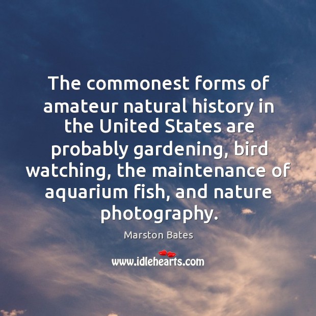 The commonest forms of amateur natural history in the United States are Marston Bates Picture Quote