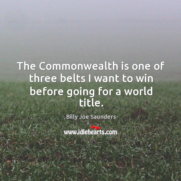 The commonwealth is one of three belts I want to win before going for a world title. Billy Joe Saunders Picture Quote