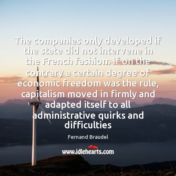 The companies only developed if the state did not intervene in the Fernand Braudel Picture Quote