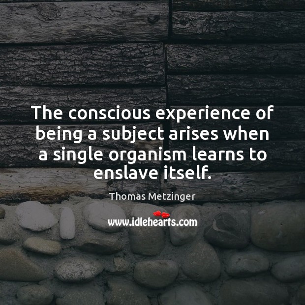 The conscious experience of being a subject arises when a single organism Thomas Metzinger Picture Quote