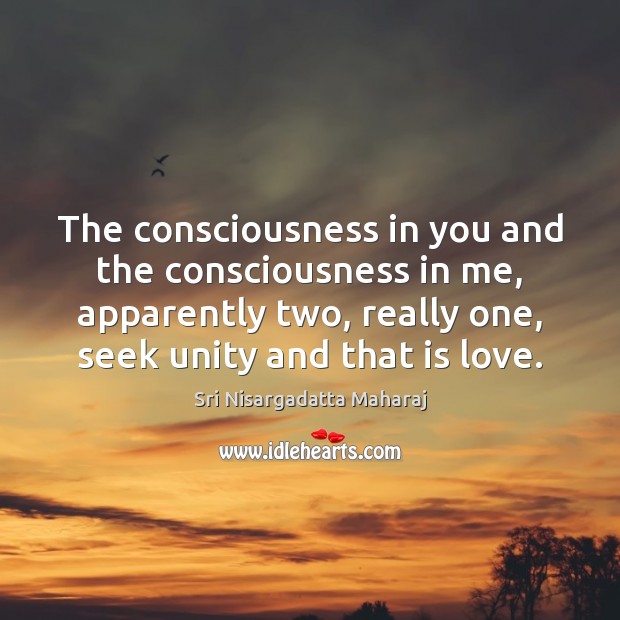The consciousness in you and the consciousness in me, apparently two, really Sri Nisargadatta Maharaj Picture Quote