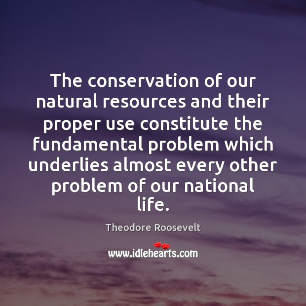The conservation of our natural resources and their proper use constitute the Theodore Roosevelt Picture Quote