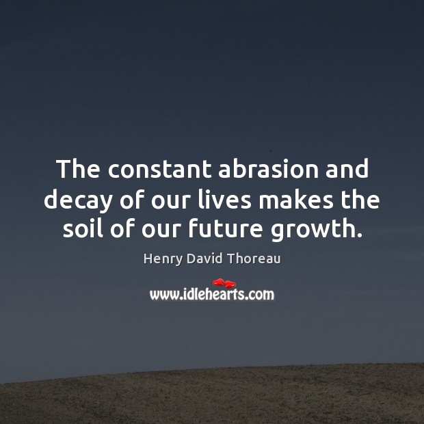 The constant abrasion and decay of our lives makes the soil of our future growth. Image