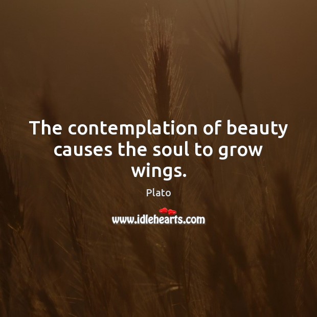 The contemplation of beauty causes the soul to grow wings. Plato Picture Quote