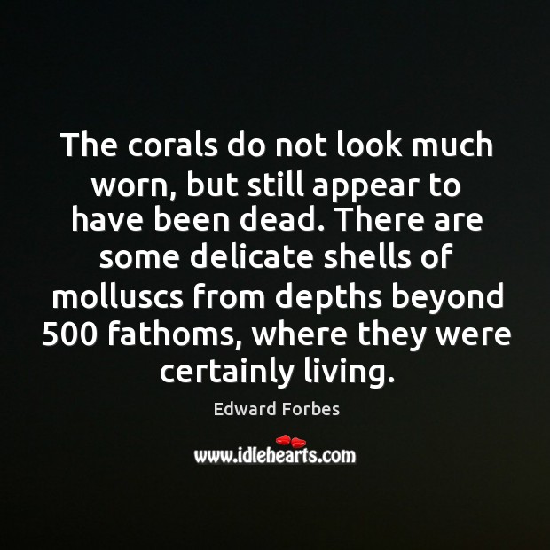 The corals do not look much worn, but still appear to have been dead. Edward Forbes Picture Quote