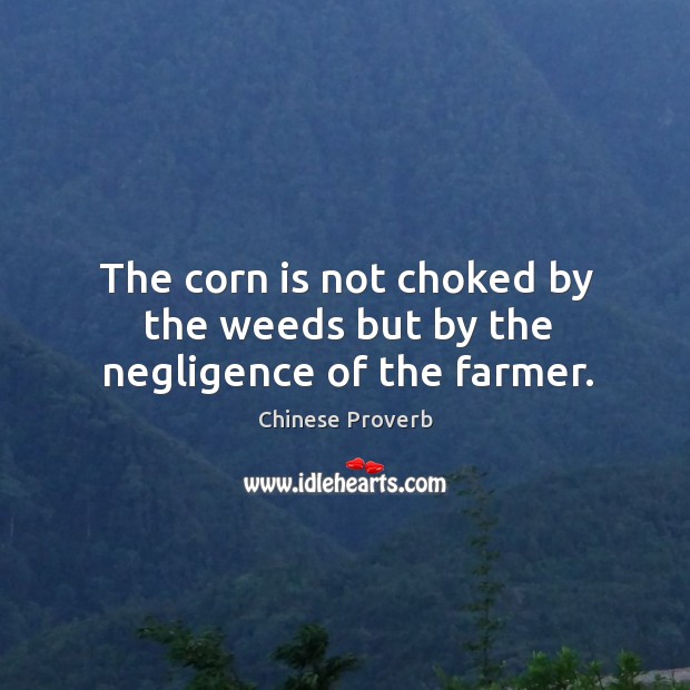 The corn is not choked by the weeds but by the negligence of the farmer. Chinese Proverbs Image