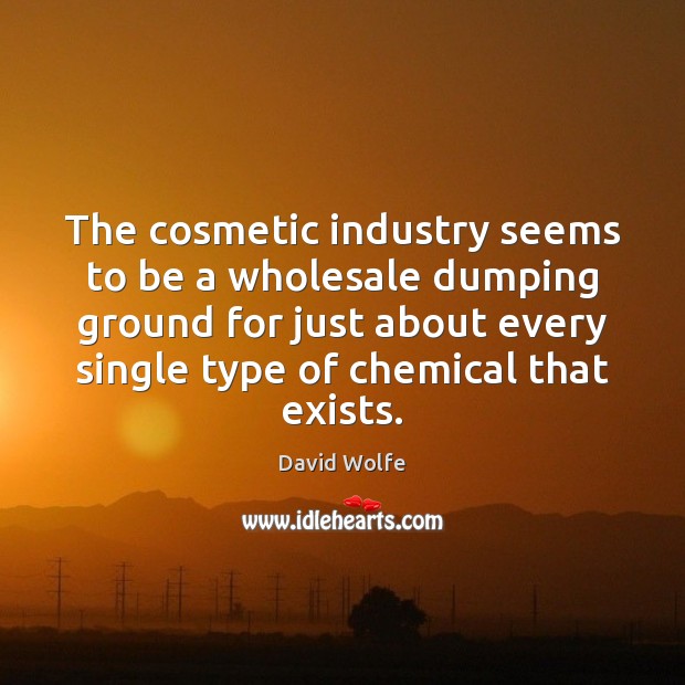 The cosmetic industry seems to be a wholesale dumping ground for just David Wolfe Picture Quote