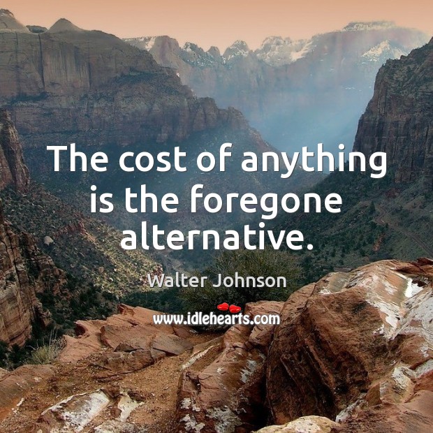 The cost of anything is the foregone alternative. Walter Johnson Picture Quote