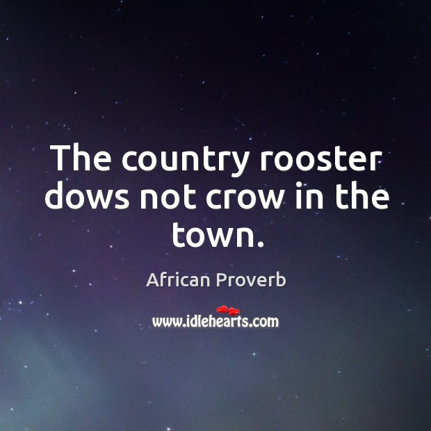The country rooster dows not crow in the town. African Proverbs Image
