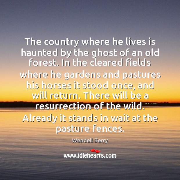 The country where he lives is haunted by the ghost of an Wendell Berry Picture Quote