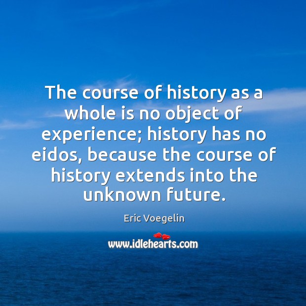 The course of history as a whole is no object of experience; Image