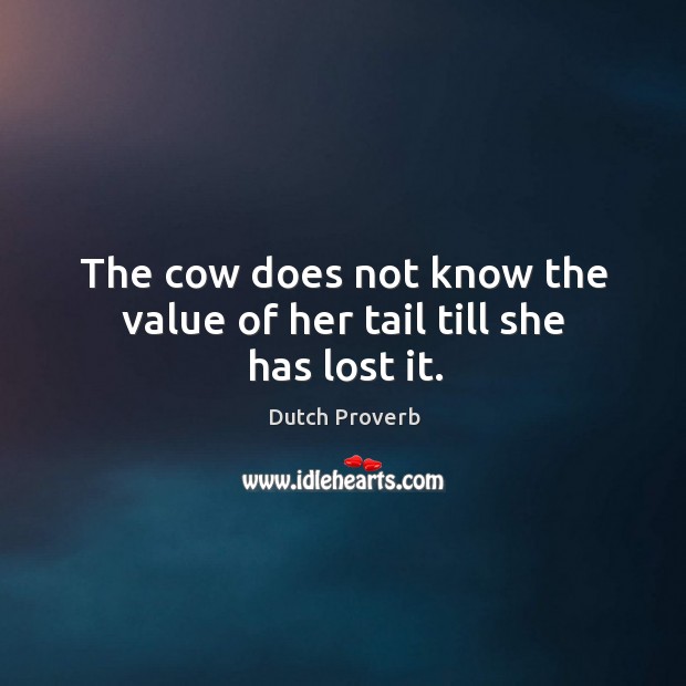 The cow does not know the value of her tail till she has lost it. Dutch Proverbs Image