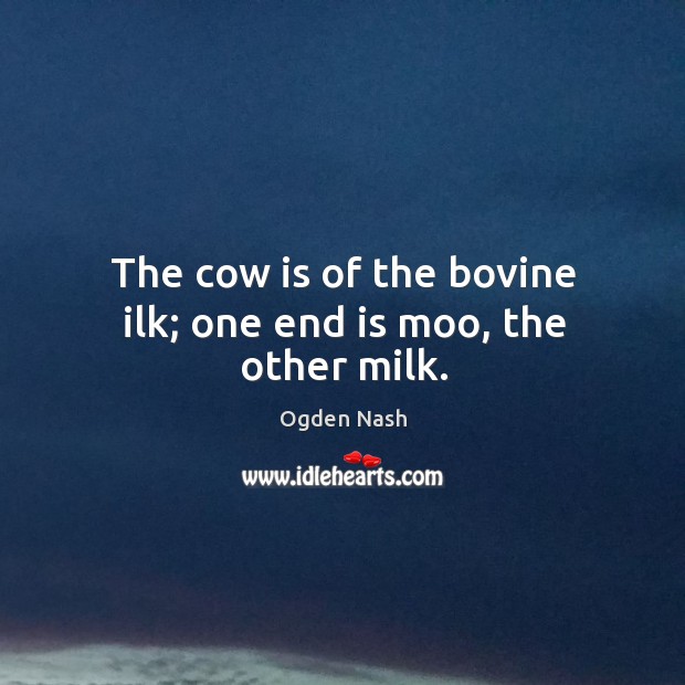 The cow is of the bovine ilk; one end is moo, the other milk. Ogden Nash Picture Quote