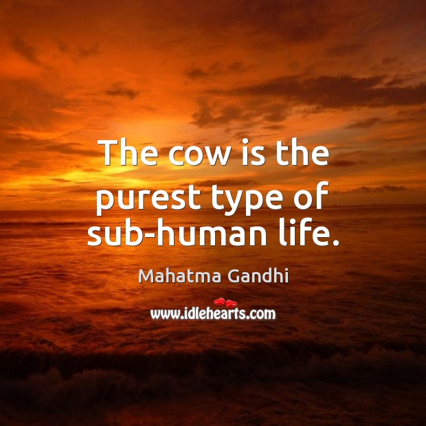The cow is the purest type of sub-human life. Image