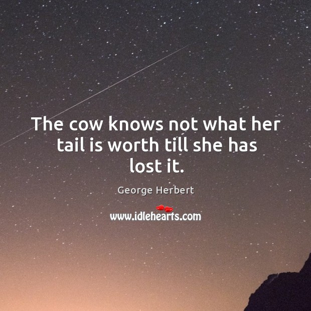 The cow knows not what her tail is worth till she has lost it. George Herbert Picture Quote
